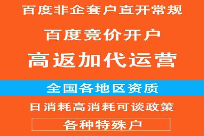 深入了解SEM代运营服务公司的策略与技巧